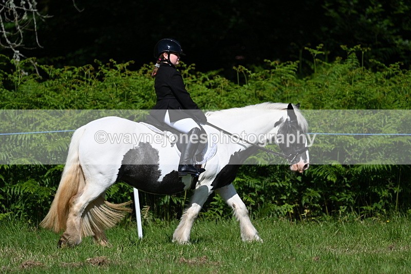 WJ7_0744 - Class 8 First Rally Pony