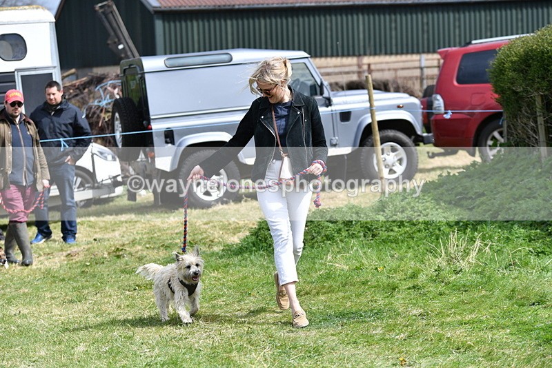 WJ5_0369 - Class 7 Best Terrier