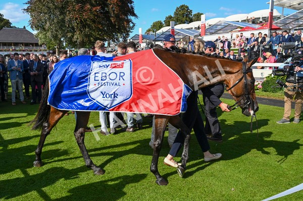 240824-Race 4-Magical Zoe-1253 - Race 4 3.35pm Sky Bet Ebor Handicap