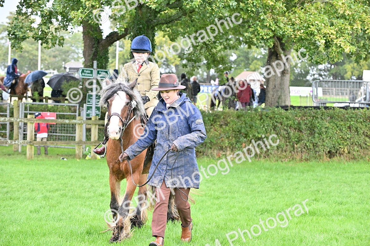 SBM_43035 - S12 - Family Horse & Pony