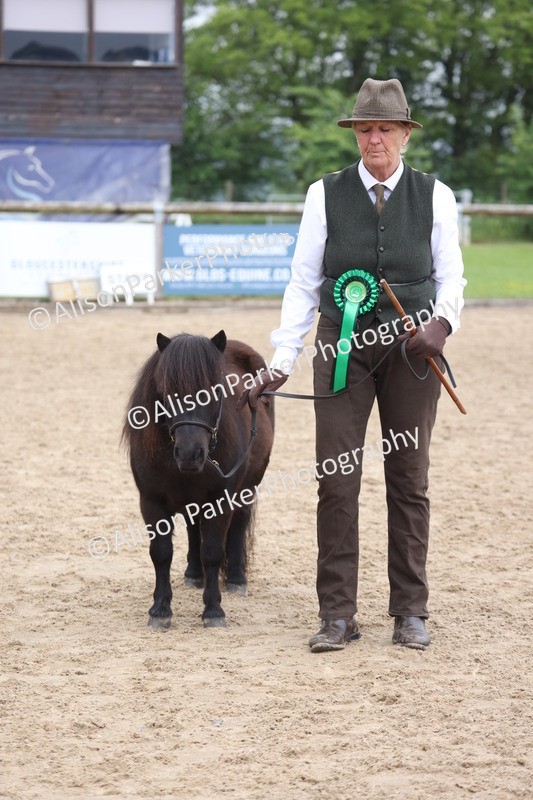 20260504-0545 - Class 4 - Minitures and Shetlands