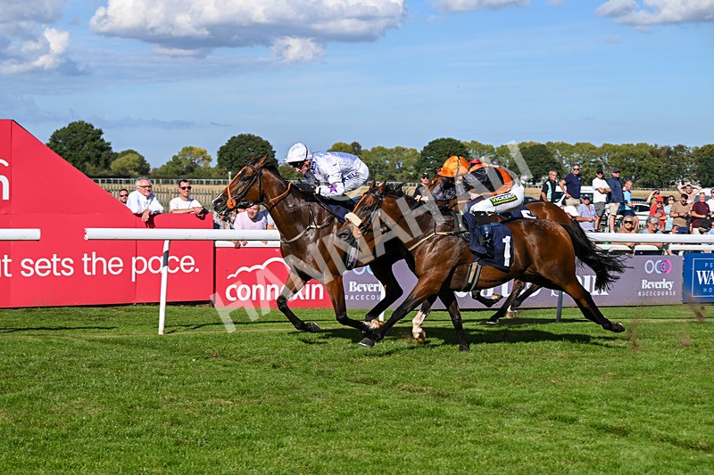 220926-Race 4-Toca Madera-4022 - Race 4 3.15pm Eddie And Violet Smith Conditions Stakes