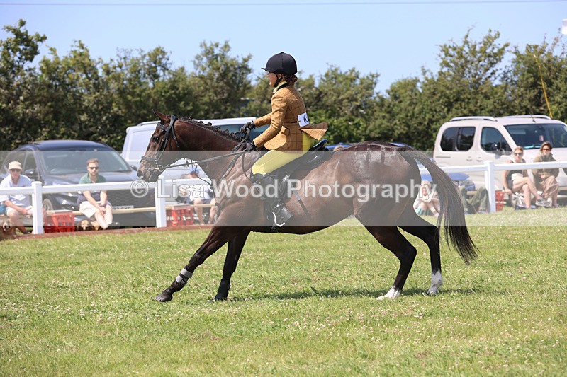 JPP_3062 - Class 22: Working Hunter 70cm