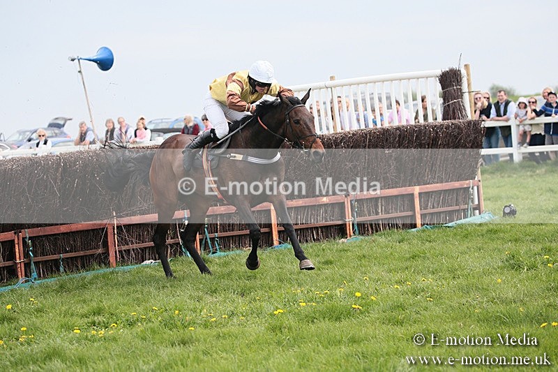 PtP 210418 229 - South & West Wilts Point-to-Point Larkhill 21/04/18