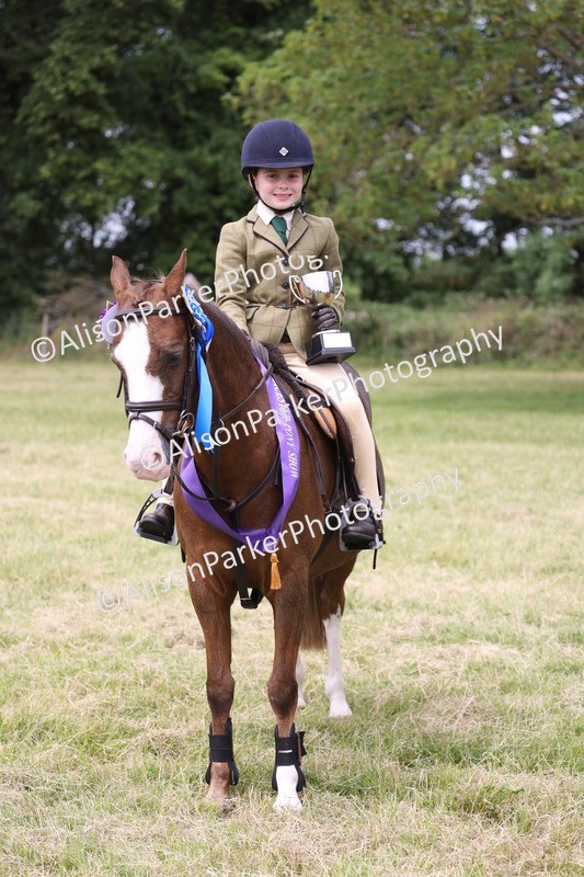 20260614-3200 - Class 22 - Open Working Hunter
