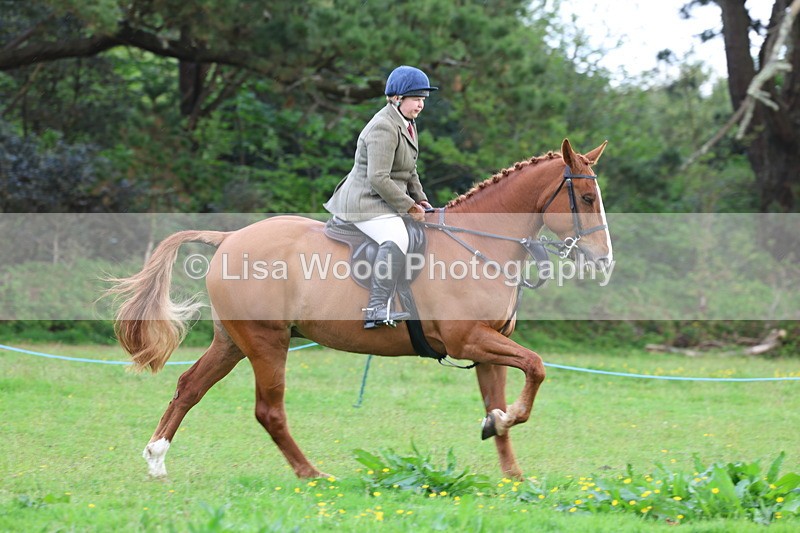 3E7A2585 - Classes 30 and 31: 80cm Working Hunter