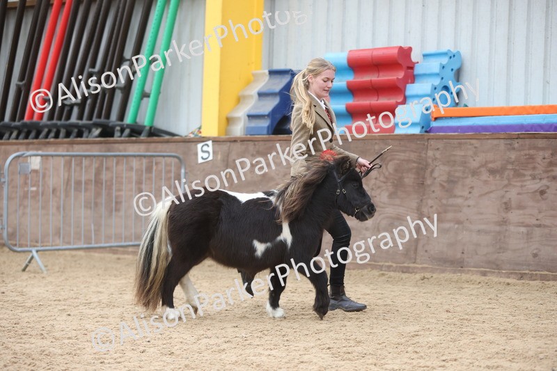 20251109-0446 - Championship