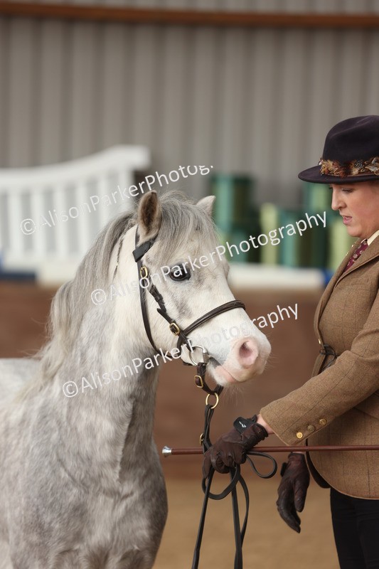 20251109-0616 - Class 22 - Geldings 4 Years and over