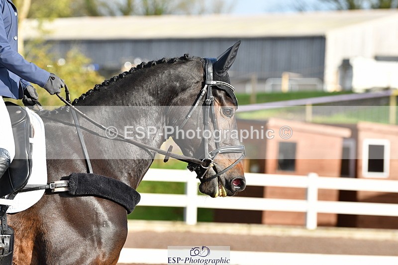 231104A-103406-00103 - Cls 4 Novice 22