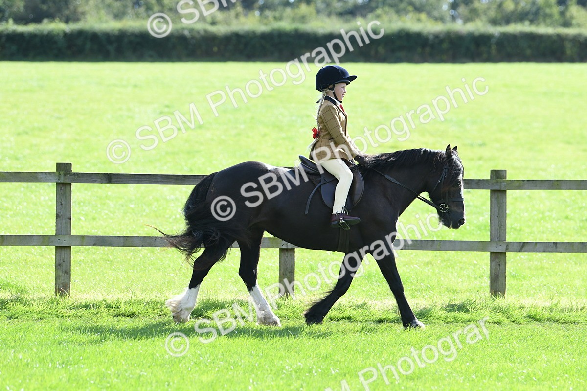 SBM_50271 - S21 - Novice & Newcomers 1st Ridden Pony