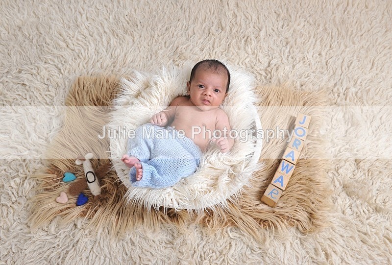 DSC_0966 - Taran