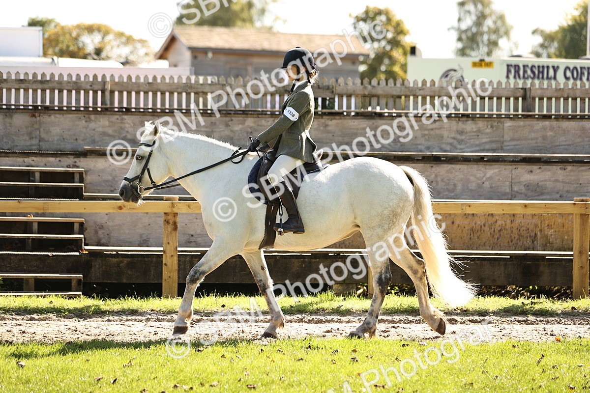 SBM_19091 - S3 - TSR Ridden Pony Showing