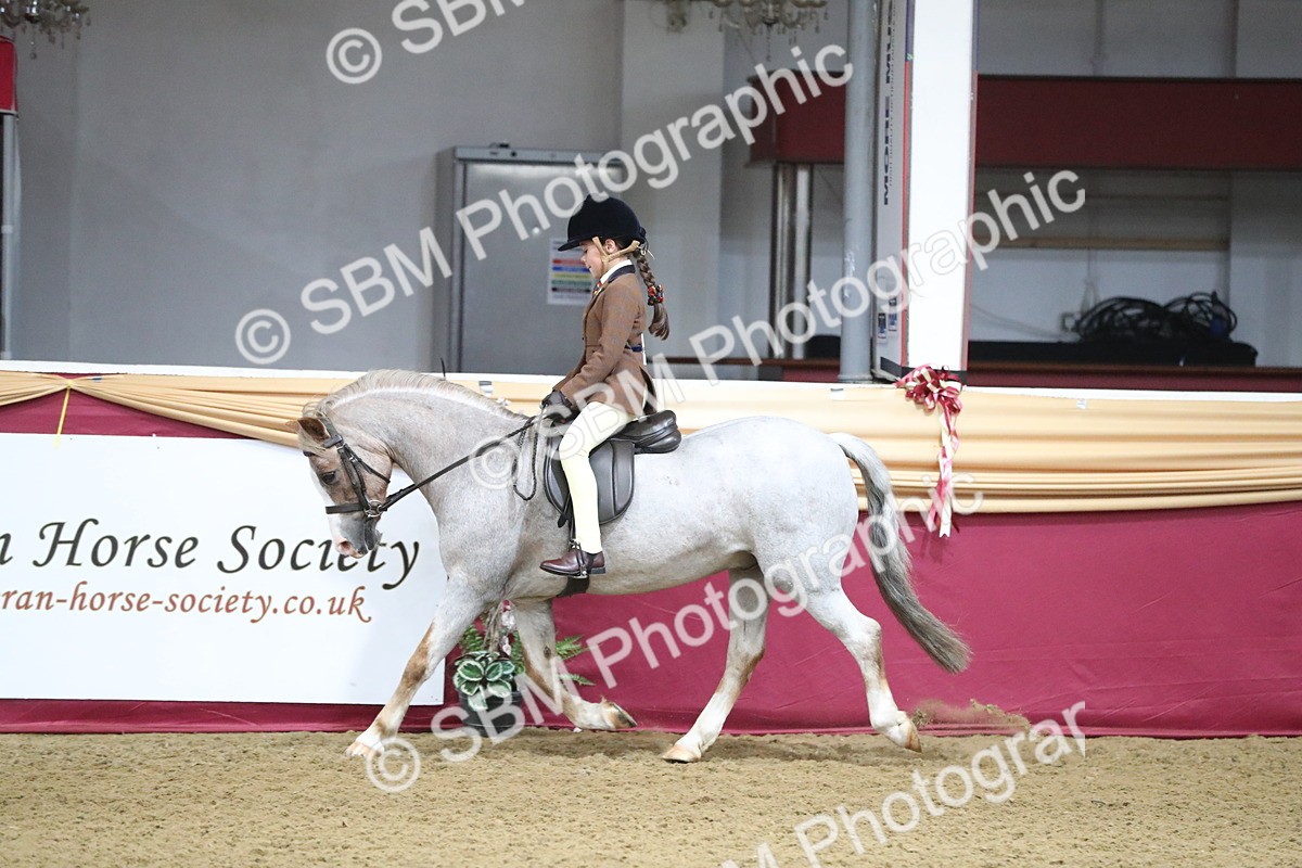 SBM_09306 - Class 101 Equitation (best rider), Junior