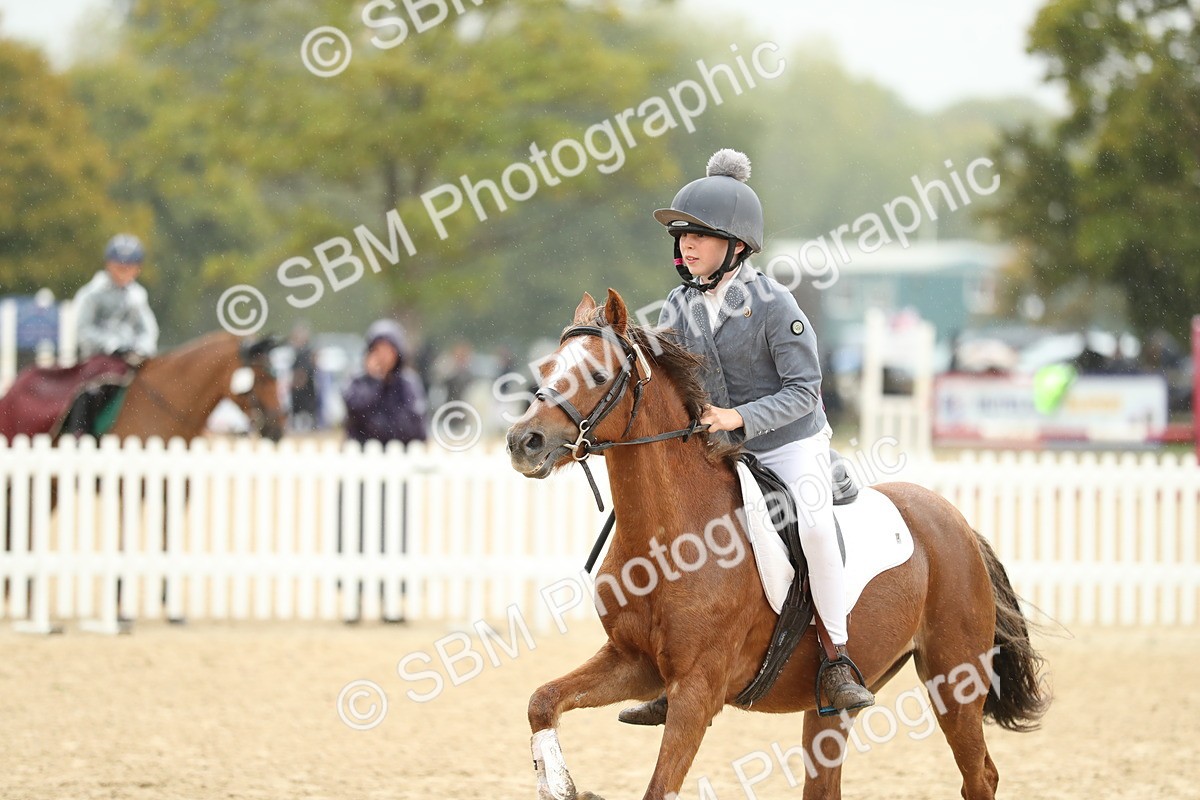 SBM_70439 - J15 - Junior Pony 70cm Championship