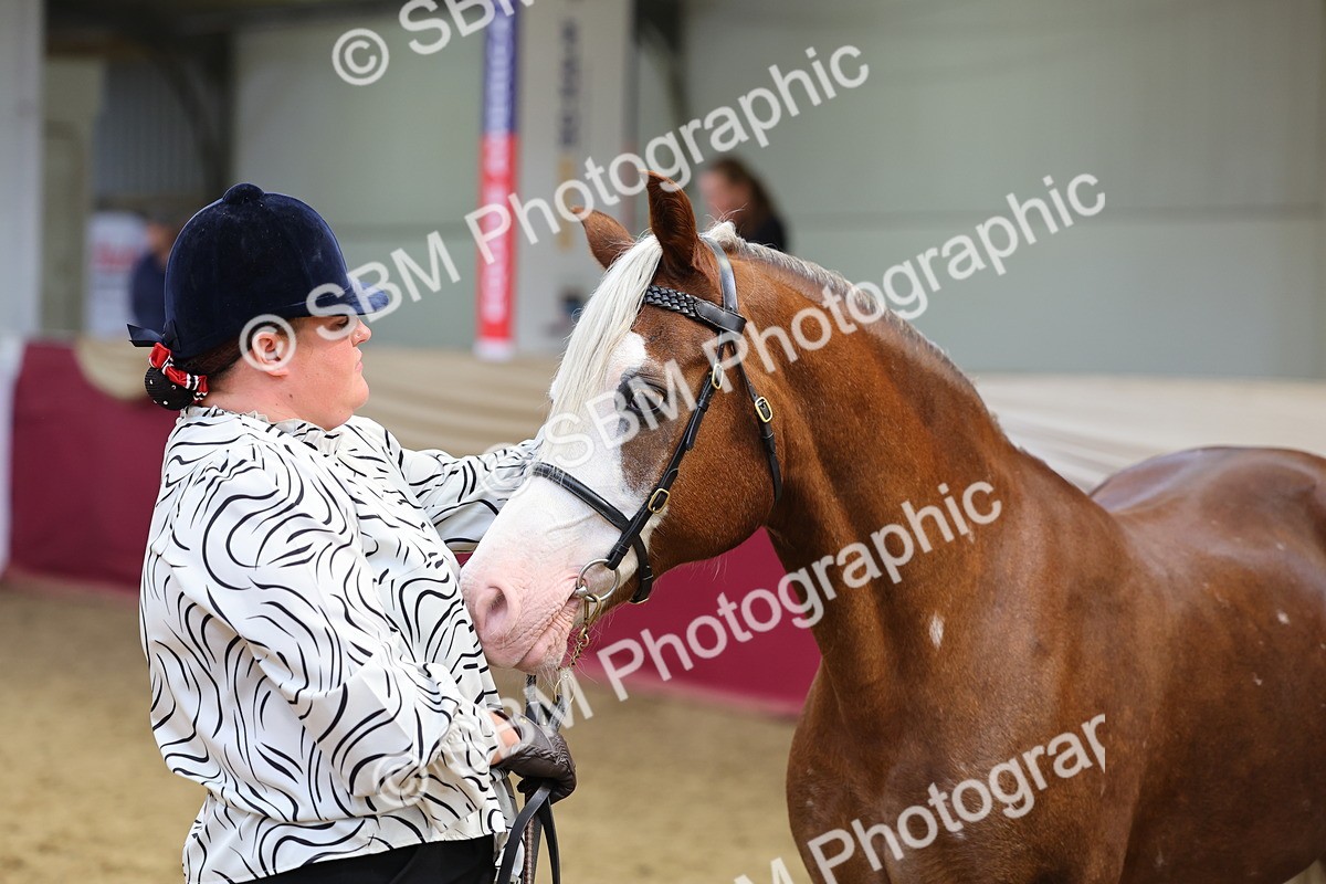 SBM_22906 - Class 903 - Supreme Final - IH Pre Vet