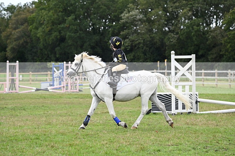 WJ6_0131 - 40cm Time 10:00 to 10:28
