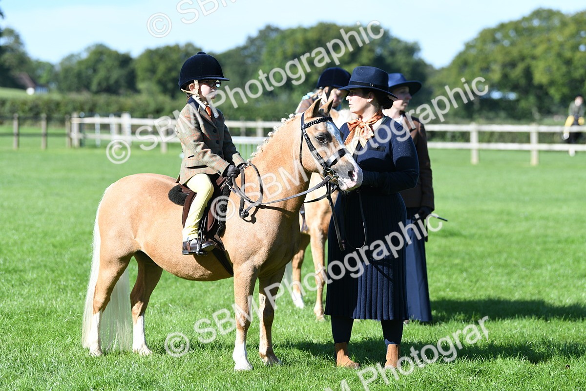 SBM_36856 - S18 - Novice & Newcomers Lead Rein Pony