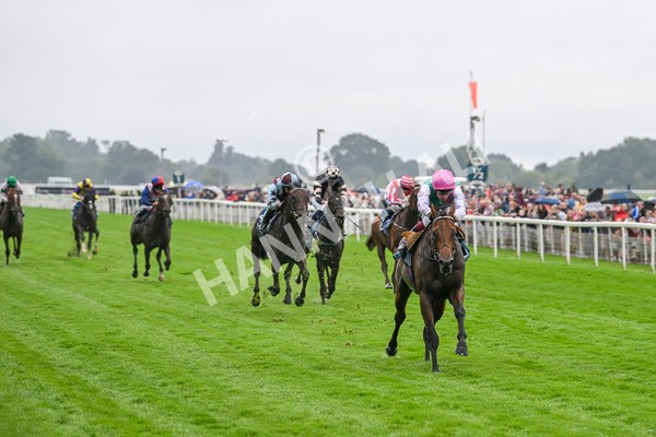 080924-Race 1-Windlord-8793 - Race 1 1.40pm British European Breeders Fund Novice Stakes