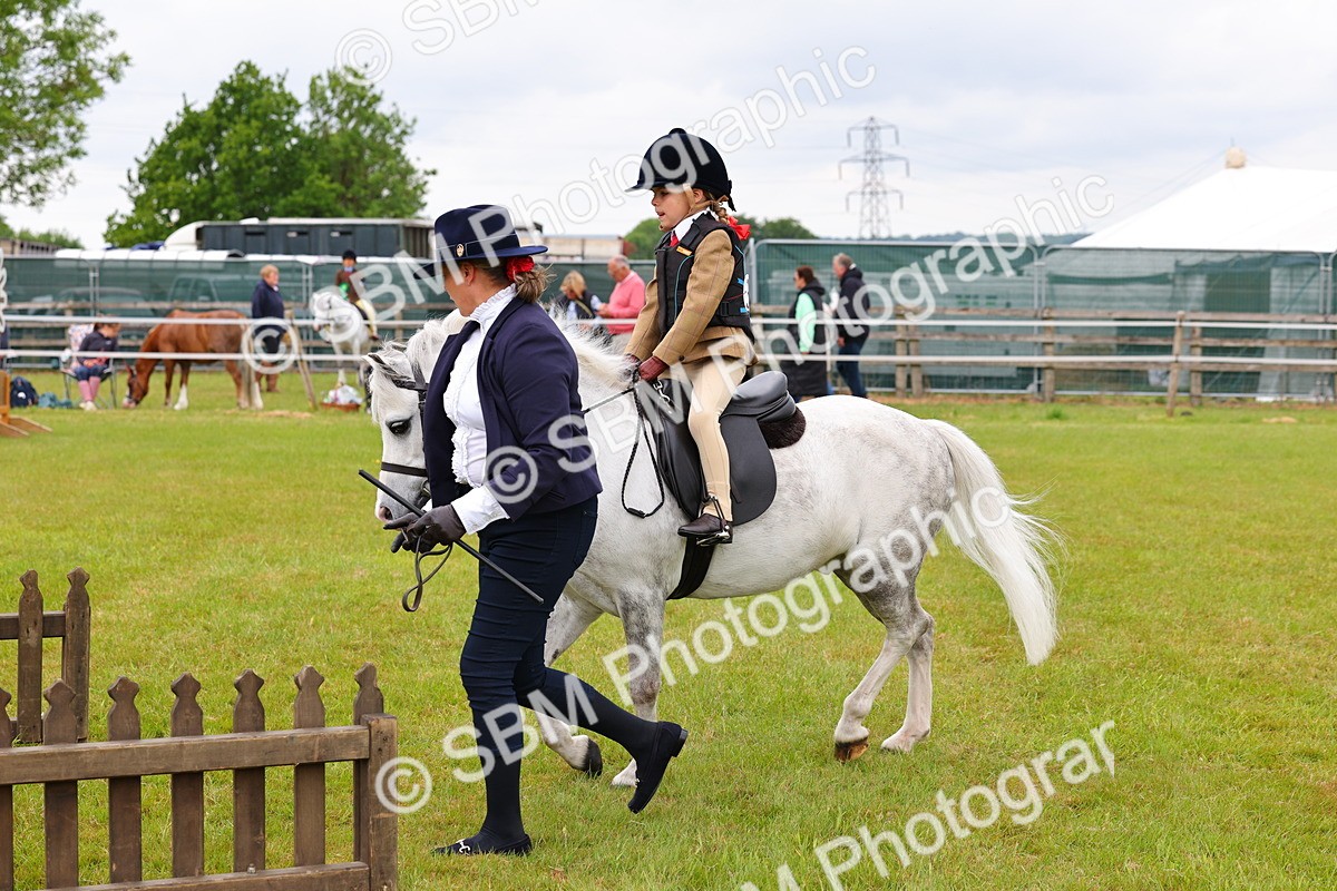SBM_08123 - Class 42-43 - LIHS BSPS Heritage Working Sports Pony