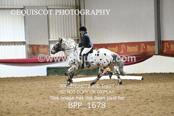 BPP_1678 - PC NOVICE DRESSAGE