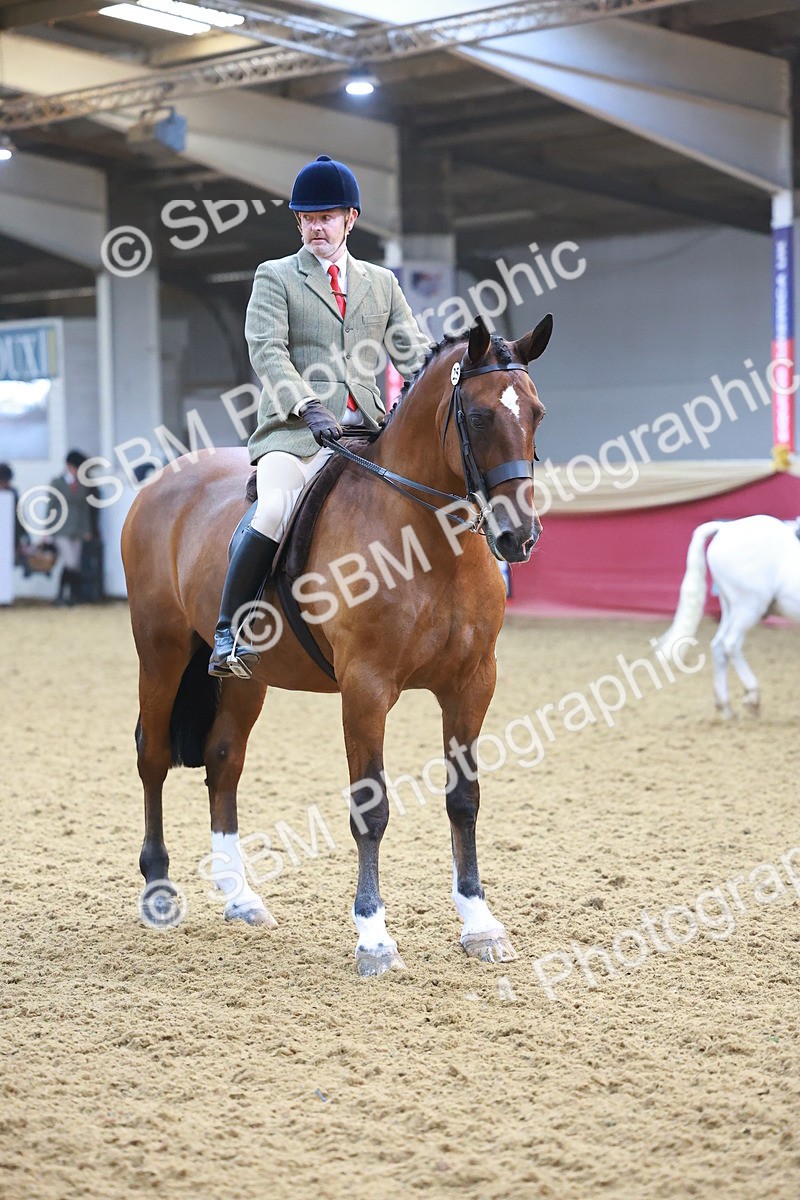 SBM_07664 - Class 101 - HOYS Veteran Qualifier - Ridden Diamond