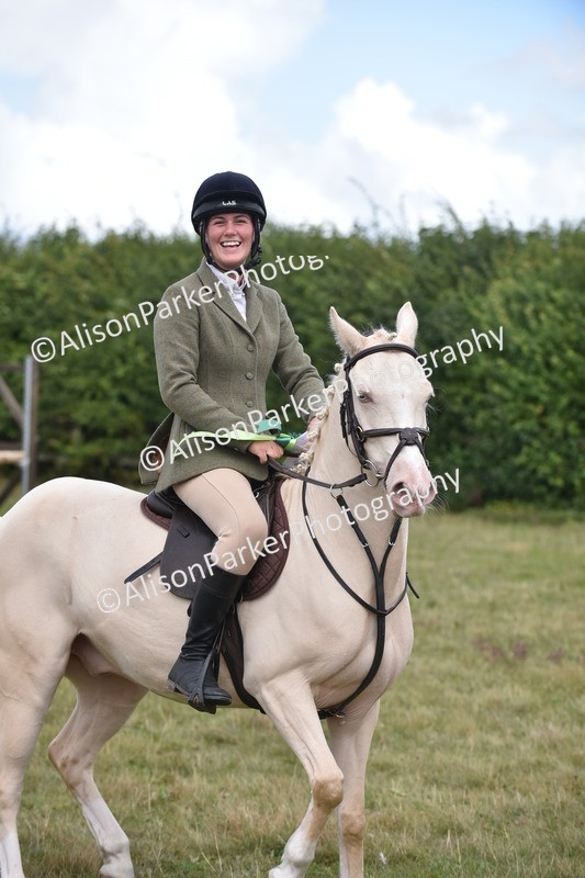 20250831-4144 - Class 13 - Working Hunter Horse or Pony