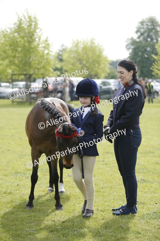 20260426-1891 - Class 7 - Pony Judge Would Most Like To Take Home