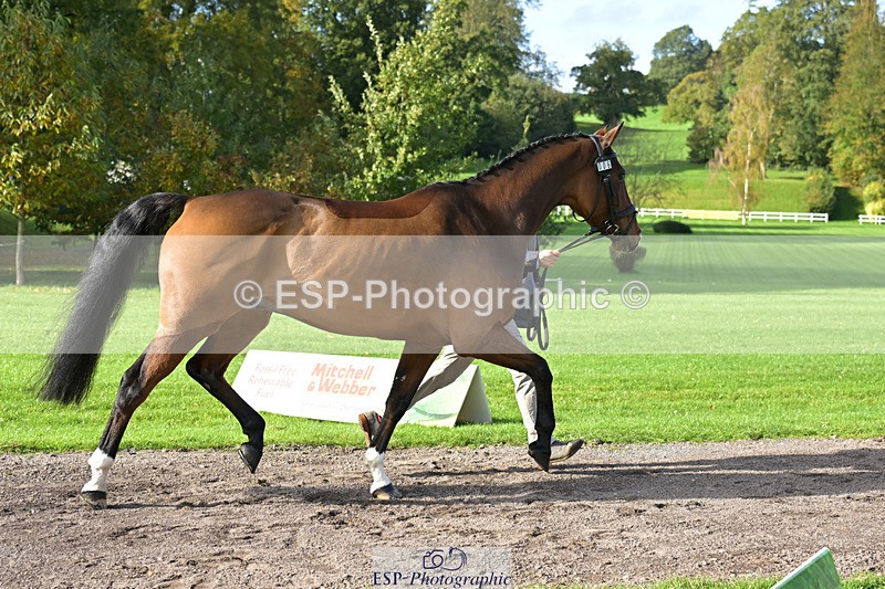 241023-131102-00116 - 006-Mark.Ford-ALVESCOT.FIVE.STAR