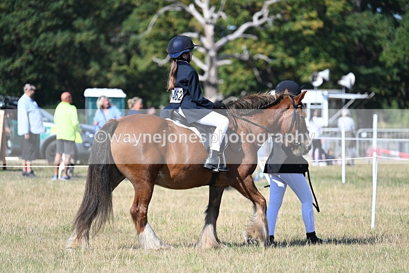 WJ7_3109 - Class 8 Ridden Tack & Turnout
