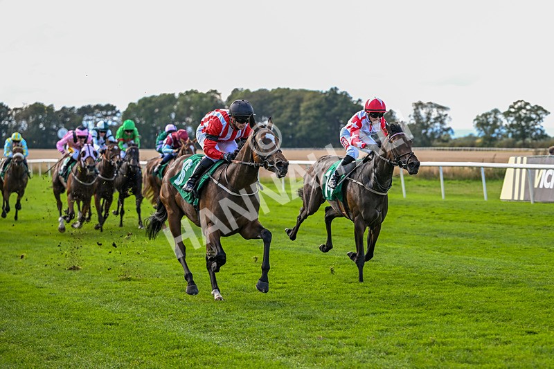 140926-Race 2-Bladey Lady-6818 - Race 2 2.51pm Patrick Hibbert-Foy Memorial Nursery Handicap
