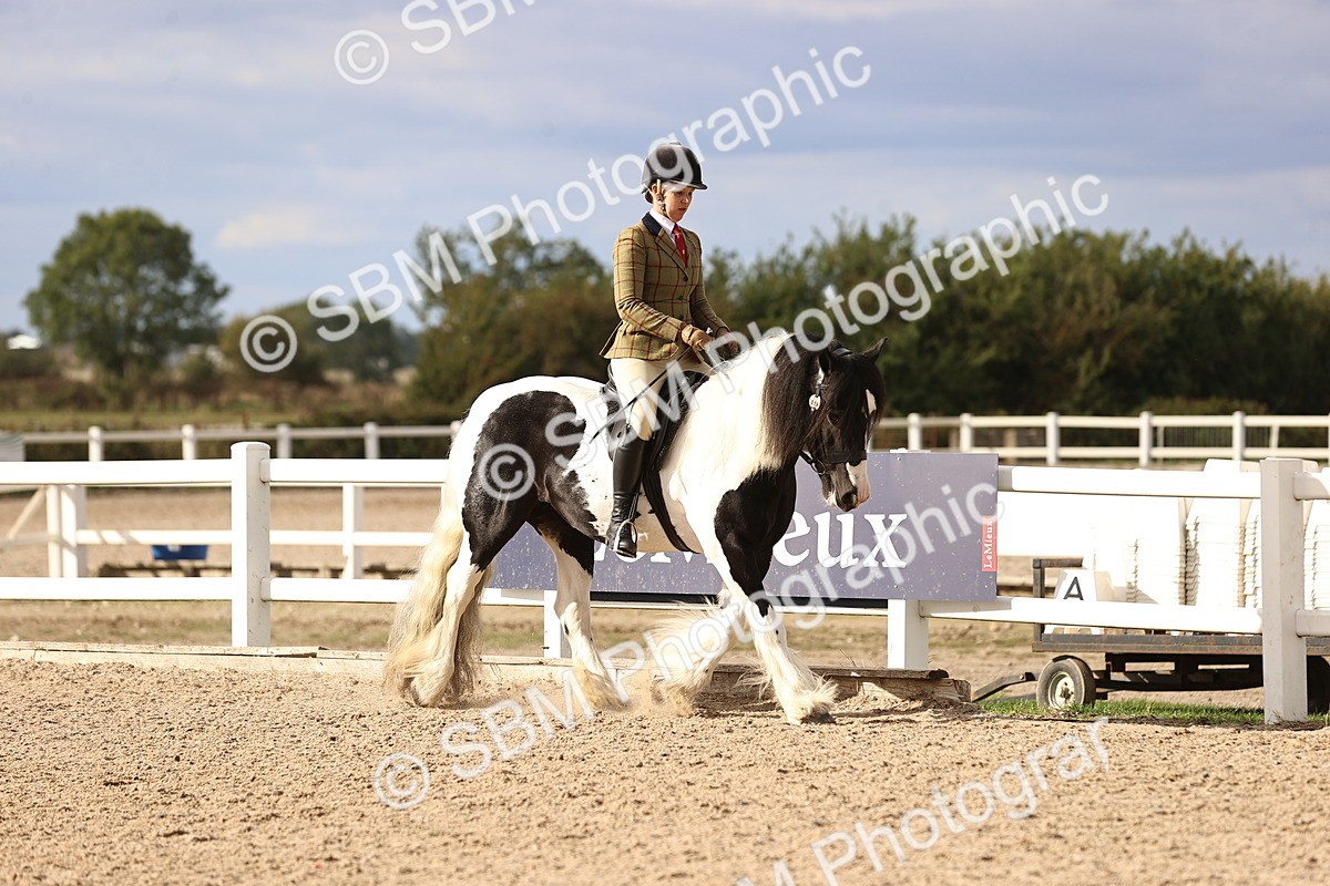 SBM_18157 - Class 423 - Equitation (best rider) Adult