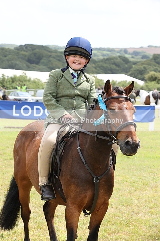 JPP_1998 - Class 18: Tiny Tots Working Hunter Pony