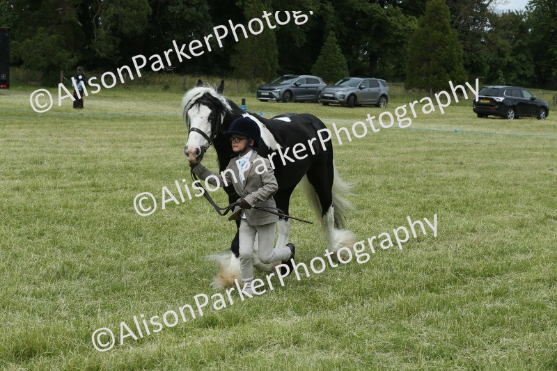 20260614-4277 - Class 18 - Best Junior Handler