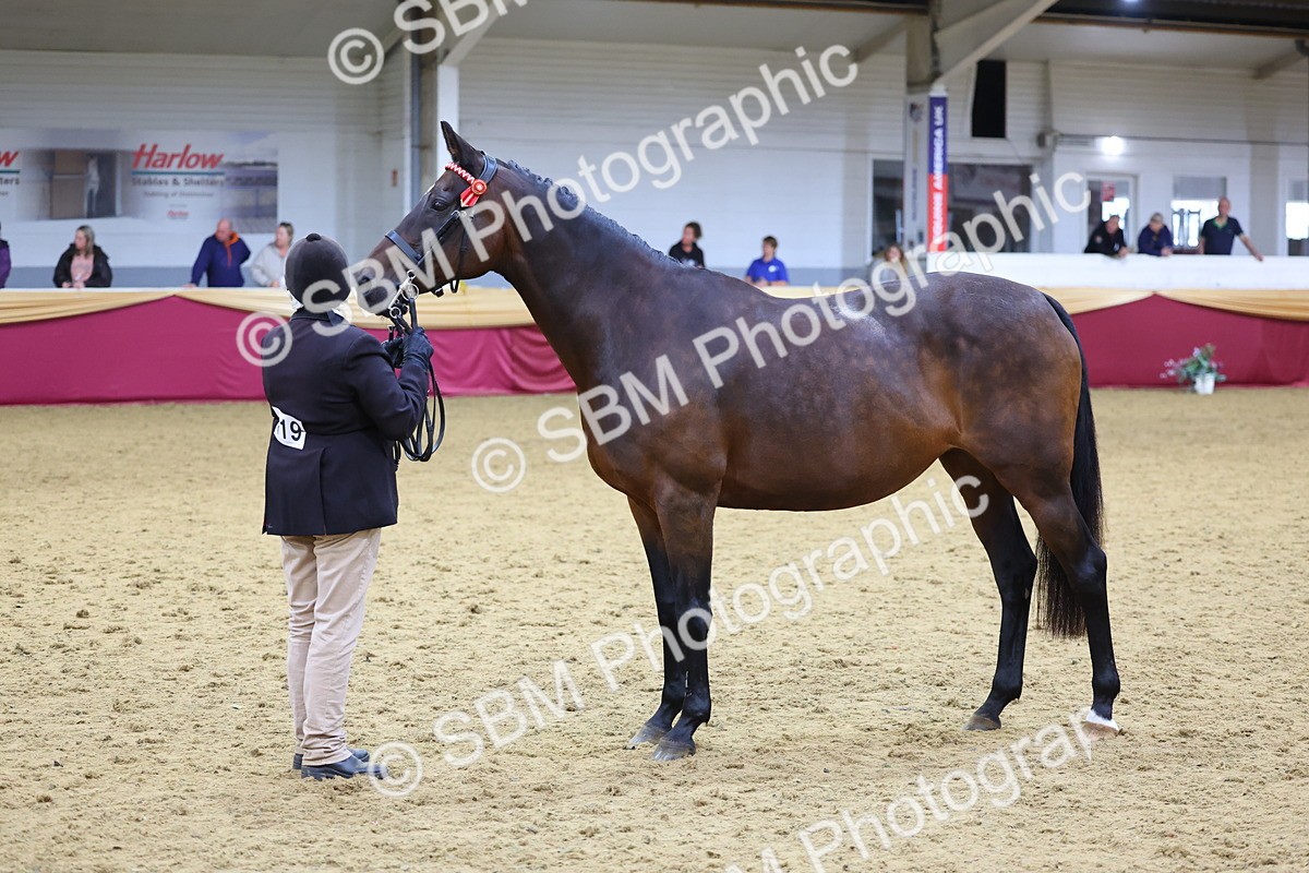 SBM_19486 - Class 901 - Supreme Final - IH Diamond