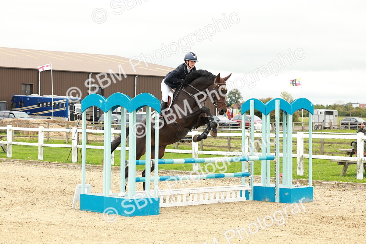 1I0A6834 - Class 2 - Senior British Novice