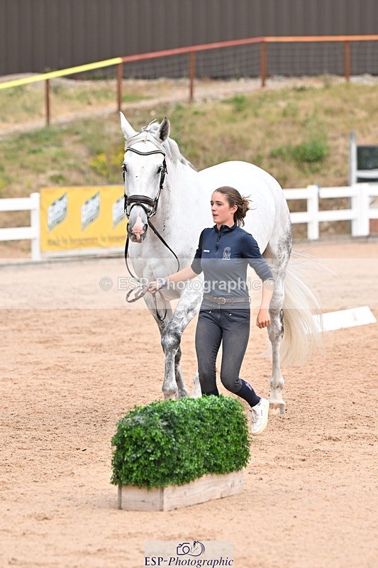 250716-142953-01128 - Trot Up 1.30 to 2.30