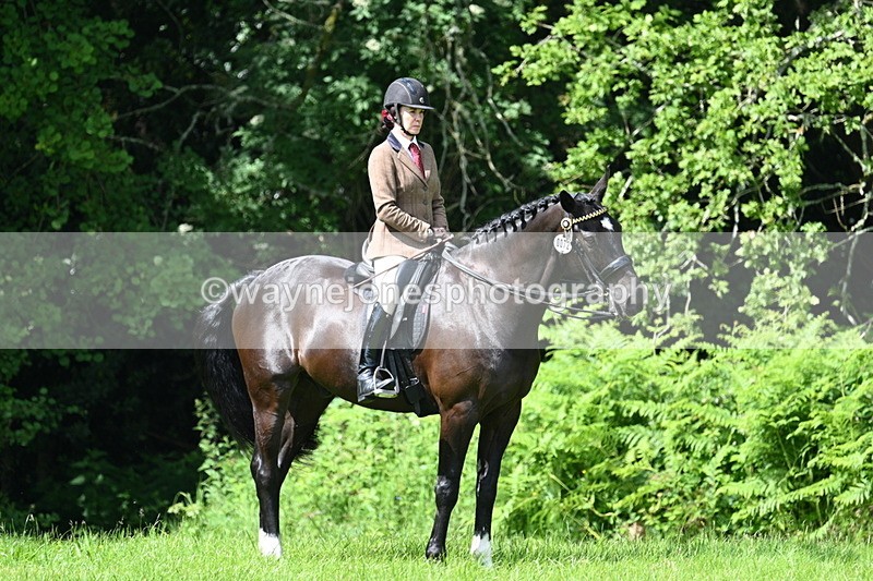 WJ7_1248 - Class 11 Condition & Turnout