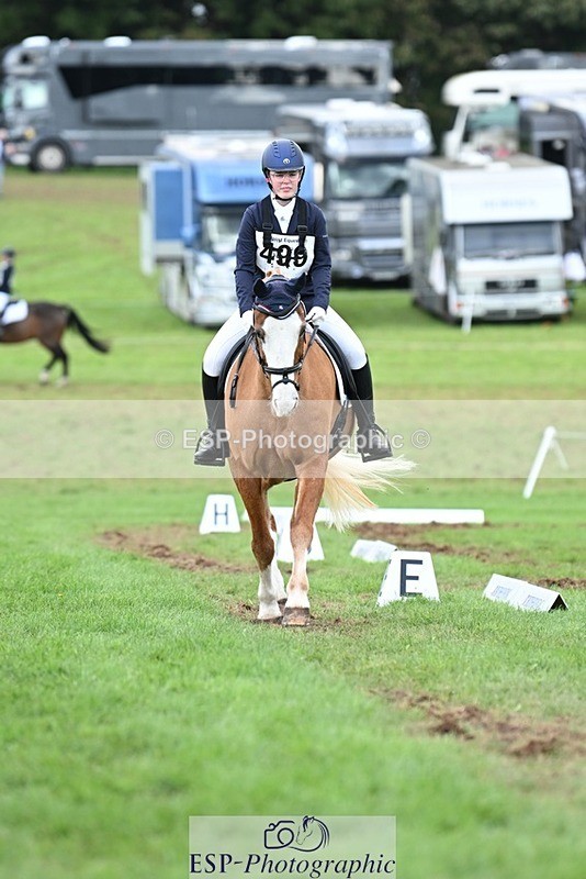 231020-143548-10677 - 499-GORFELYN.PETER.THE.GREAT-Charlotte.Bellamy-DR