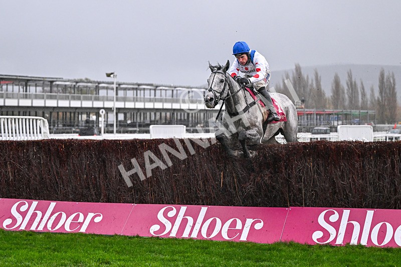 141125-Race 4-LEau du Sud-0419 - Race 4