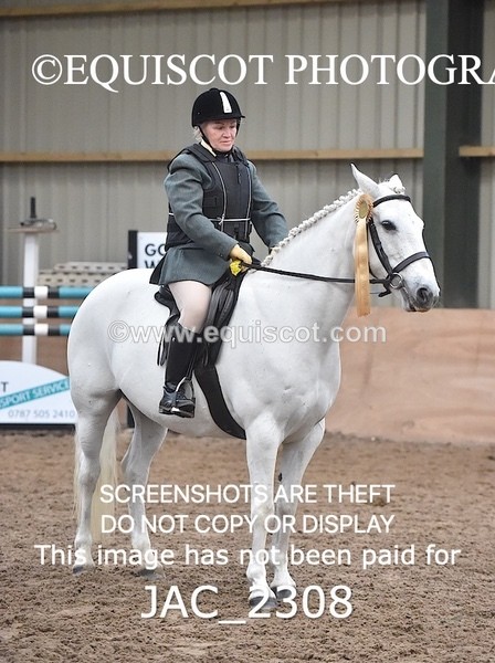 JAC_2308 - CLASS 2 Novice Working Hunter