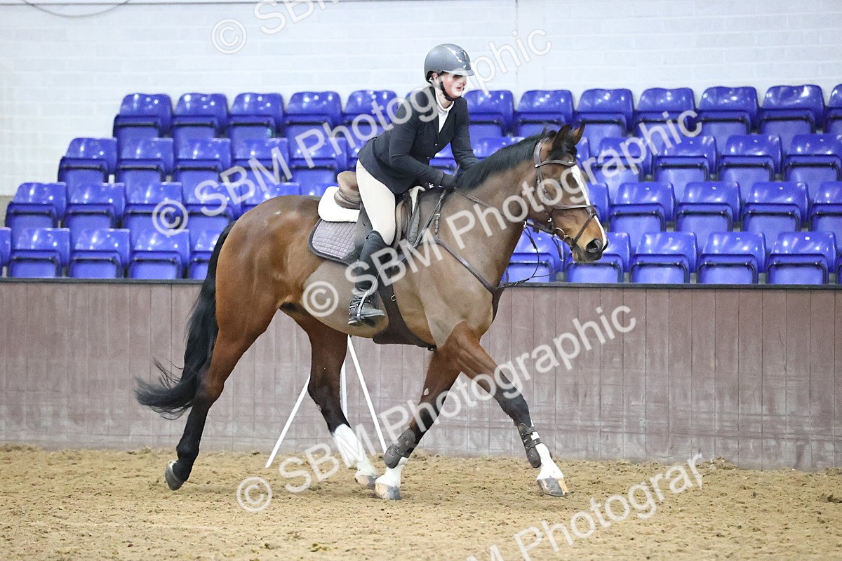 SBM_001585 - Class 8 - Senior British Novice - 90cm