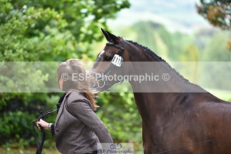 240522-160020-00639 - 113-MONANORE_GOLD-Jemima_Hughes