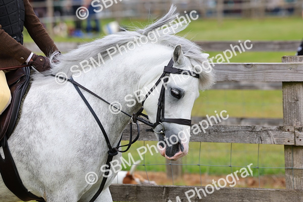 SBM_08461 - Class 42-43 - LIHS BSPS Heritage Working Sports Pony