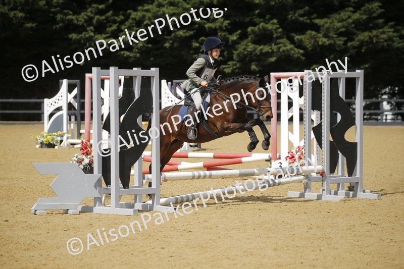 20250622-3859 - 50cm