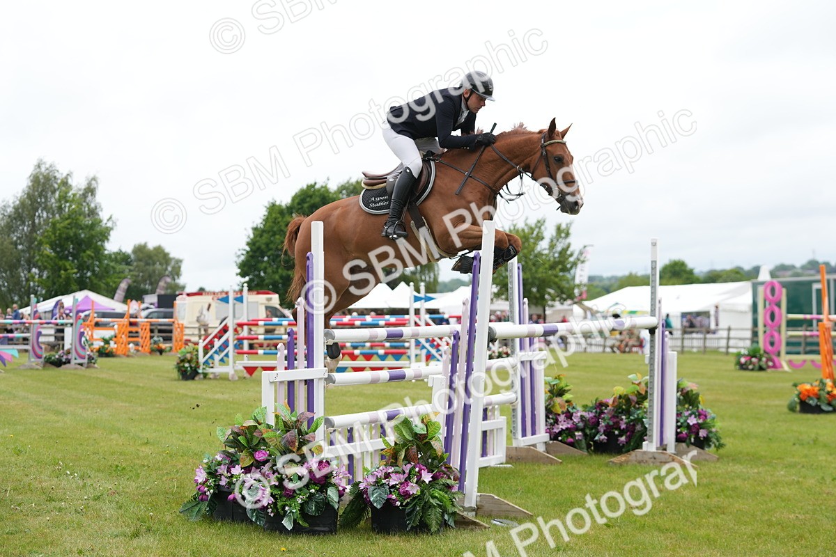 SBM_03023 - Class 201 - British Horse Feeds Speedi Beet Horse of the Year Show Grade  C