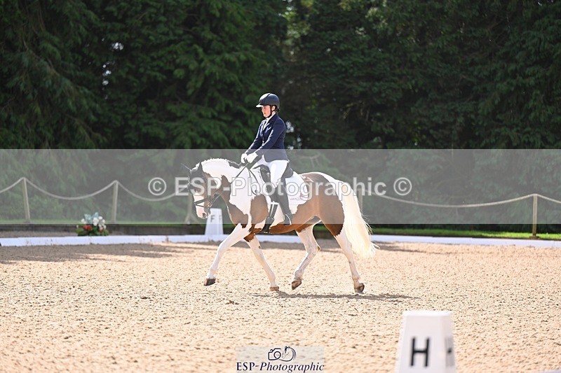 240809-103733-00342 - 160-Sian.Lowe-Pinecroft.Indigo