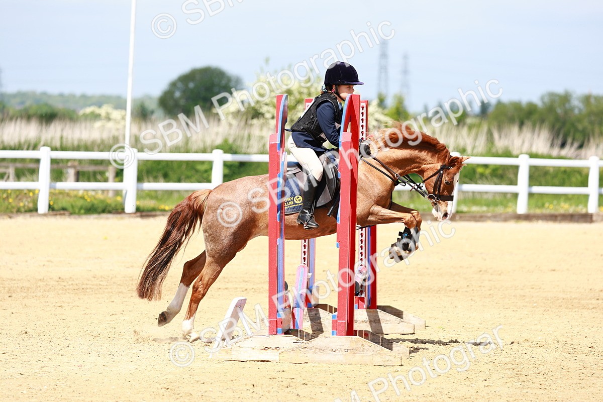 SBM_007719 - Class 3 - 60cm