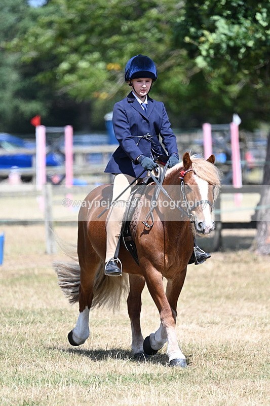 WJ7_3375 - Class 8 Ridden Veterans