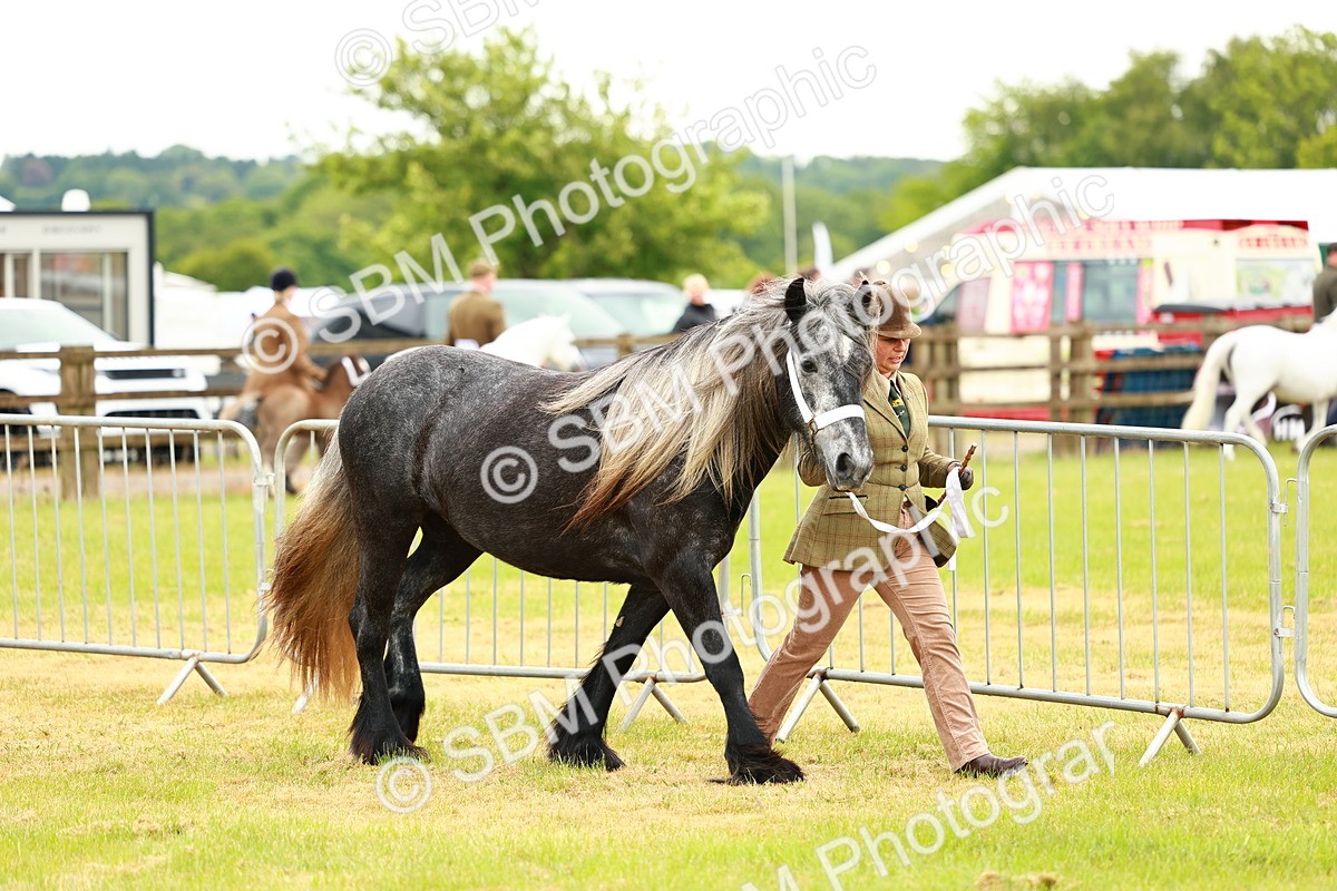 SBM_00349 - Class 58-67 - M&M Non Welsh Pony In hand