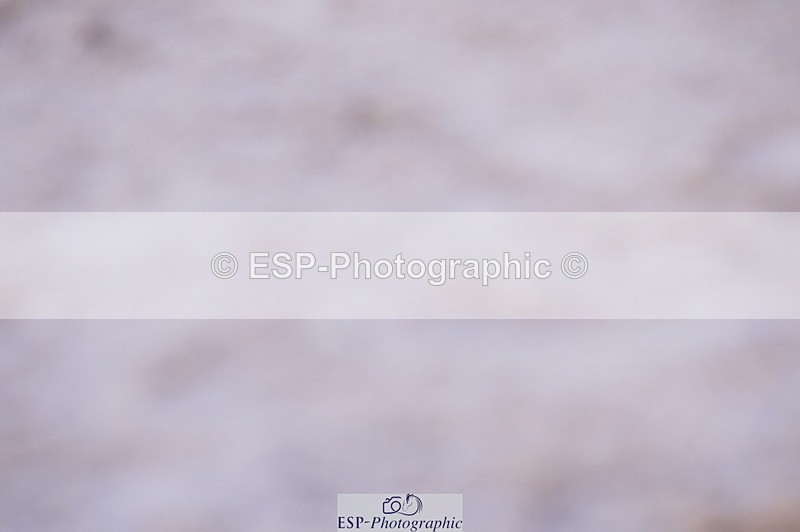 240802A-192438-06215 - Cls 20 Area Trial